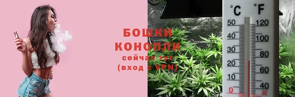 соль ск Горно-Алтайск