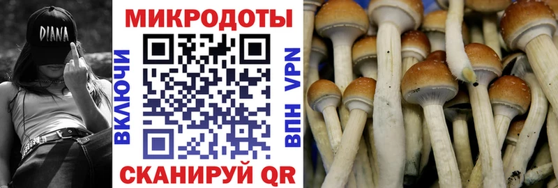 Псилоцибиновые грибы Cubensis Купить закладки Ковылкино